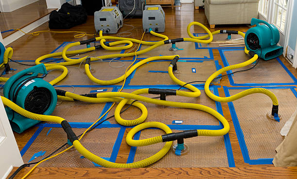 Professional Crawl Space Water Removal technician working in Reno, PA